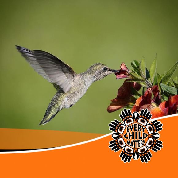 Meet your Posher, Janet - Picture 1 of 1